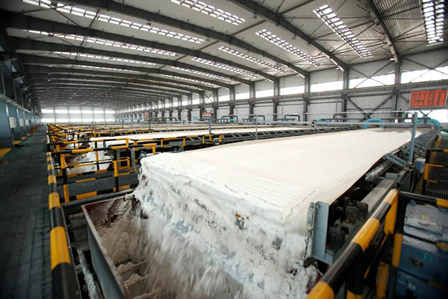 首季告捷!公司实现钾锂双优佳绩